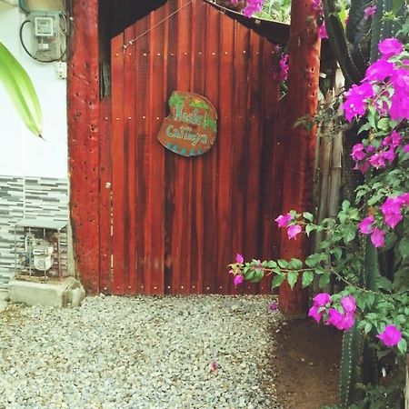 Hostel Cattleya Palomino Exterior foto