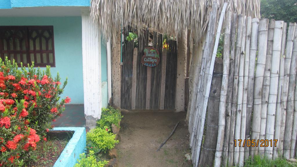 Hostel Cattleya Palomino Exterior foto